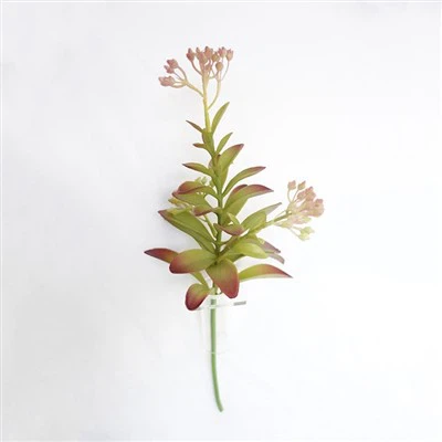 Borong Bunga Krismas Tiruan Di UK