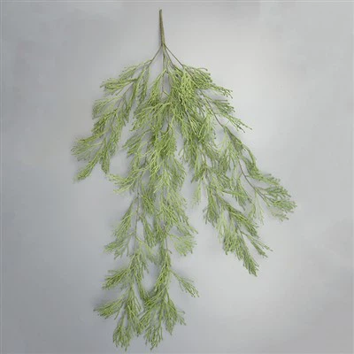 Adakah Pakis Nampak Asli bagus untuk pembersihan udara?