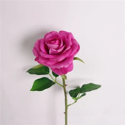 Batang Bunga Sentuhan Semulajadi