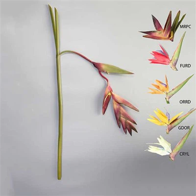 Bunga Tropika Sentuhan Semulajadi