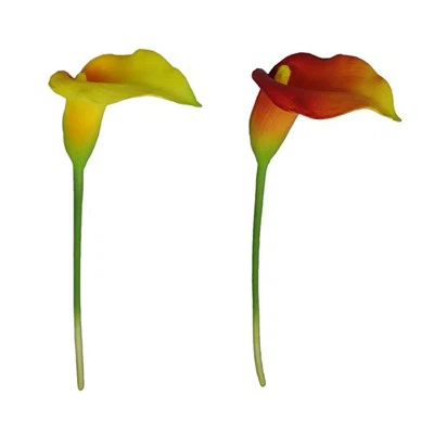 Bunga Pu Sentuhan Sebenar