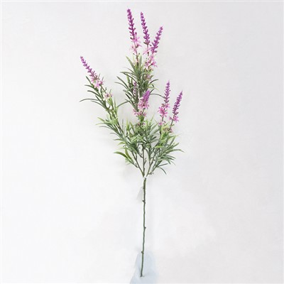 Batang Bunga Uv Bukti